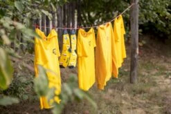 Easy Camp Spirit 300 Tunneltent - 3 Persoons - Groen 21 Easy Camp Spirit 300 Tunneltent - 3 Persoons - Groen -Buiten Kamperen 1267 1900 waslijn