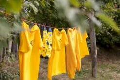 Easy Camp Eclipse 300 Tunneltent - 3 Persoons - Groen -Buiten Kamperen 1267 1900 waslijn 1