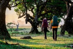 Osprey Renn Backpack - 50 Liter - Paars 29 Osprey Renn Backpack - 50 Liter - Paars -Buiten Kamperen osprey rennrook 1